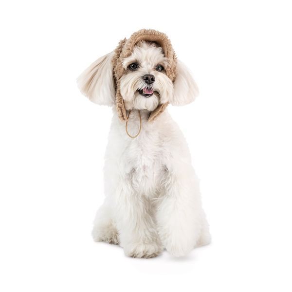 Шапка Valley Pet Fashion для собак, розмір L бежева РR442522***** фото