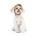Шапка Valley Pet Fashion для собак, розмір L бежева РR442522***** фото 2