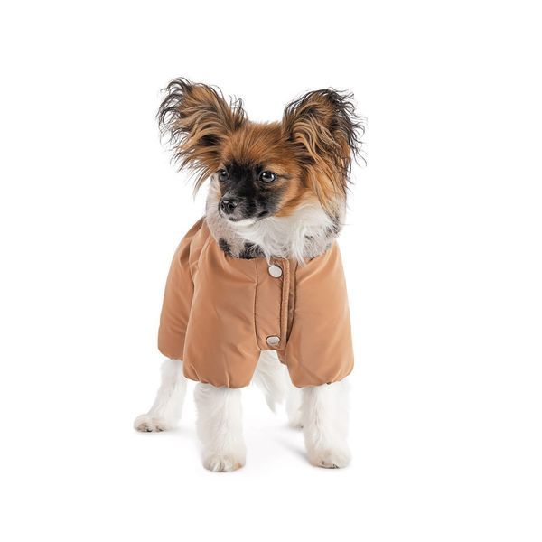 Комбінезон Pet Fashion Melisa для собак дівчинка карамель S2 PR244325***** фото