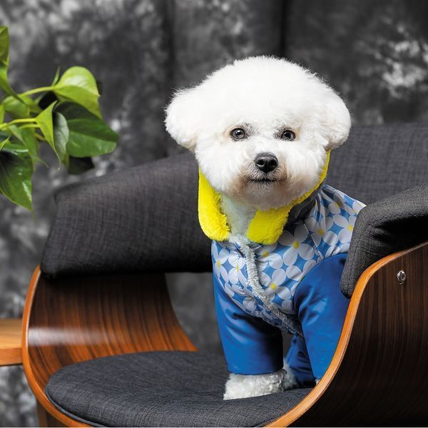 Костюм Pet Fashion TENDER для собак біло-блакитний S PR242764***** фото