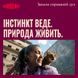 Ласощі Carnilove Crunchy Snack Salmon with Catnip для котів хрусткі лосось і котяча м'ята 50 г 100793 фото 8