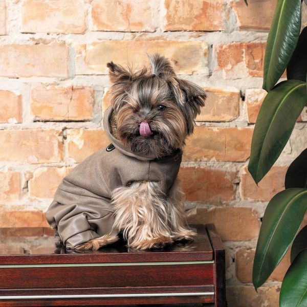 Костюм Pet Fashion PF Style для собак M PR242794***** фото