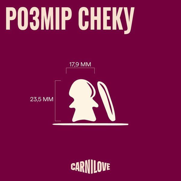 Ласощі Carnilove Crunchy Snack Mackerel with Raspberries для собак хрусткі скумбрія і малина 200 г 100800 фото