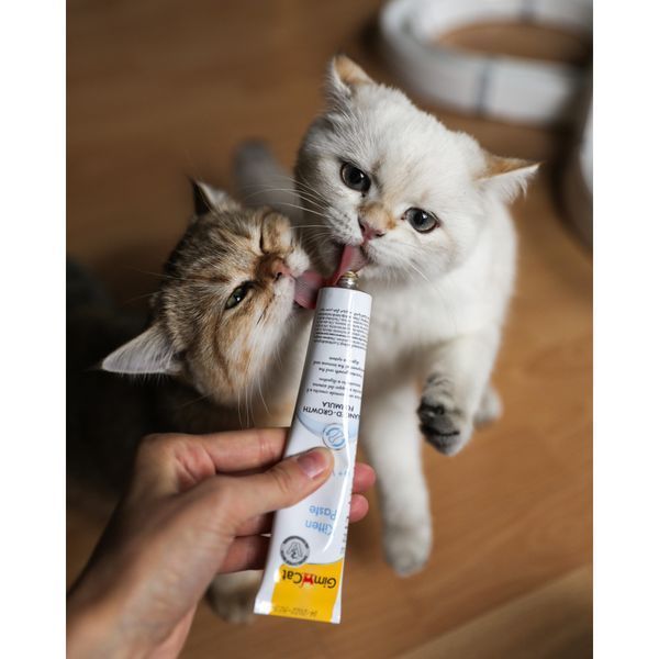 Вітаміни GimCat Expert Line Kitten для кошенят вітамінізована паста 50 г G-426167/ 406787 фото