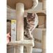 Вітаміни GimCat Expert Line Kitten для кошенят вітамінізована паста 50 г G-426167/ 406787 фото 3