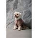 Костюм Pet Fashion Alf для собак бежевий XS2 PR242741***** фото 7