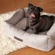 Лежак Pet Fashion Bond №2 для собак сірий 78х60х20 см PR242405 фото 2