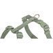 Шлея Trixie Premium H-harness для собак XXS&ndash;XS 20&ndash;32 см 10 мм світло-зелена 204834 фото 2