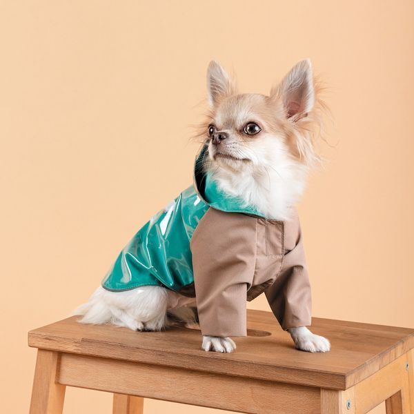 Дощовик Pet Fashion Semmy морська хвиля капучіно S PR243451***** фото