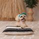 Кепка Pet Fashion Topaz для собак ХL PR244594 фото 6