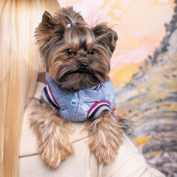 Бомбер Pet Fashion Spike для собак L PR243019***** фото