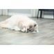 Іграшка Trixie для котів Ведмідь тканина з котячою м ятою 12 см 45665 фото 7