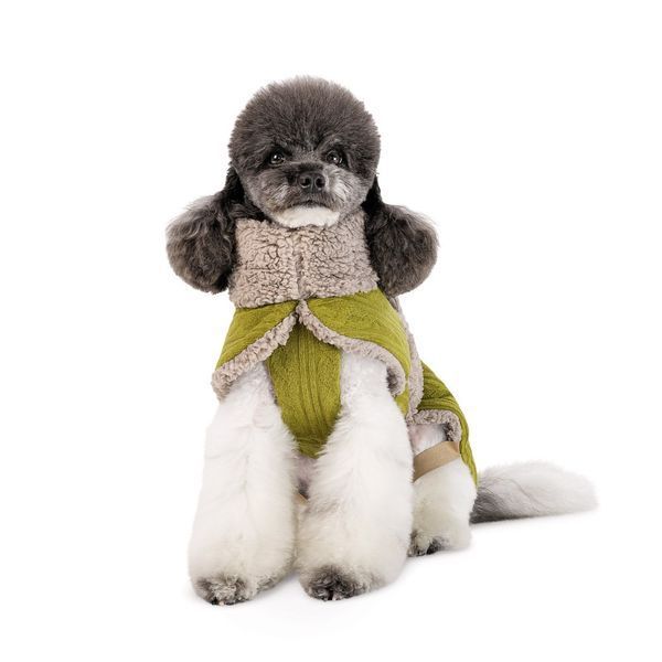 Попона для собак Gigi Pet Fashion, ХХS фісташковий, бежевий PR244292***** фото