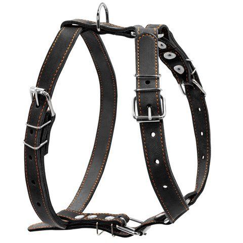 Шлея "CoLLaR" одинарна для середніх собак (ширина 25мм, А:49-68см, В:68-80см) чорний 06381 фото