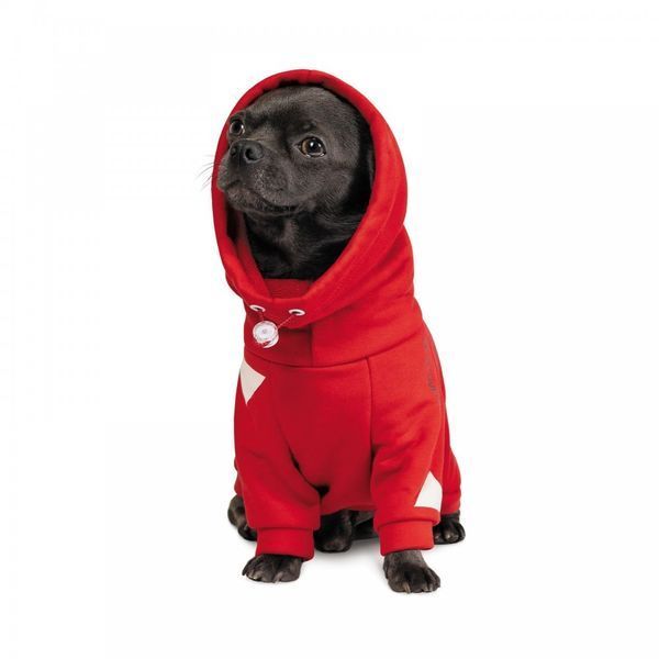 Худі Pet Fashion Snoodie для собак червона M2 PR242339***** фото