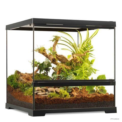 Тераріум ExoTerra для екзотичних тварин Pro Terrarium скляний 45x45x45 см PT4404 фото