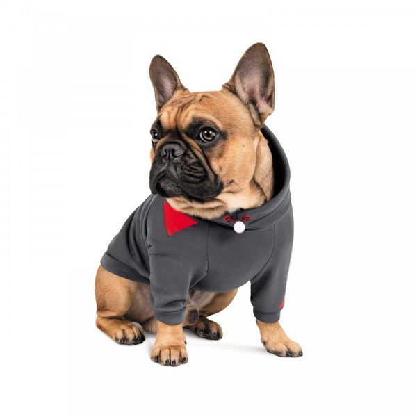 Худі Pet Fashion Snoodie для собак сіра S PR242333***** фото